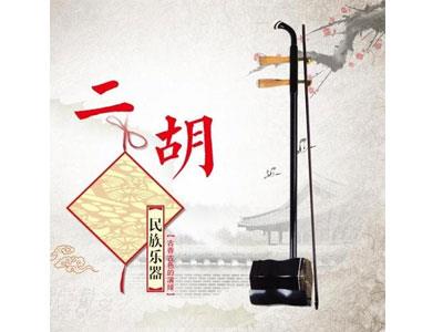 招聘宿州二胡家教老师